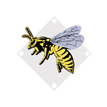 Yellow Jackets Little League